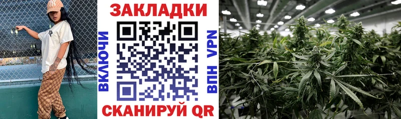 Наркошоп купить Гашиш  Бошки Шишки  Кокаин  МЕФ  Рошаль