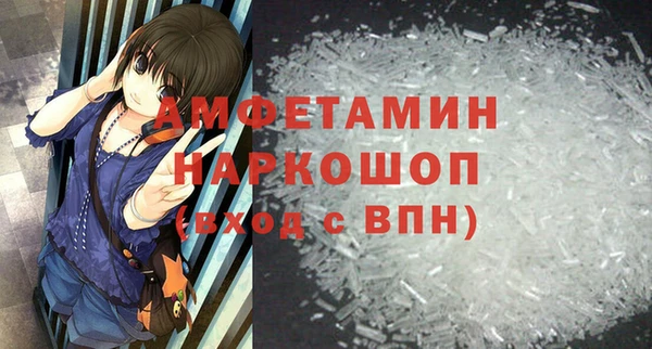 сатива Туринск