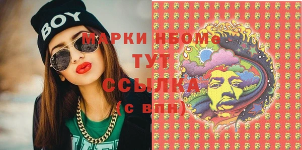 сатива Туринск