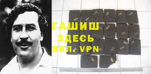 сатива Туринск