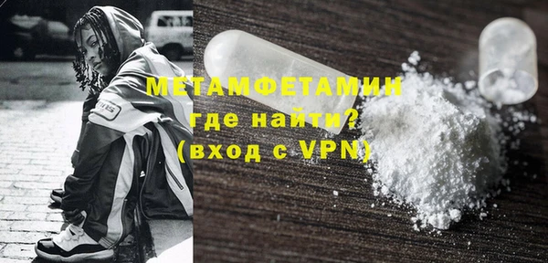 сатива Туринск