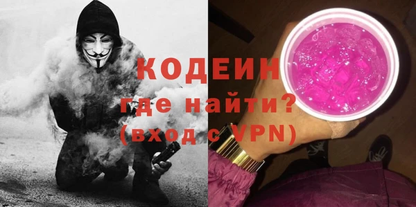 сатива Туринск