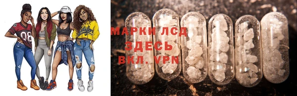 сатива Туринск